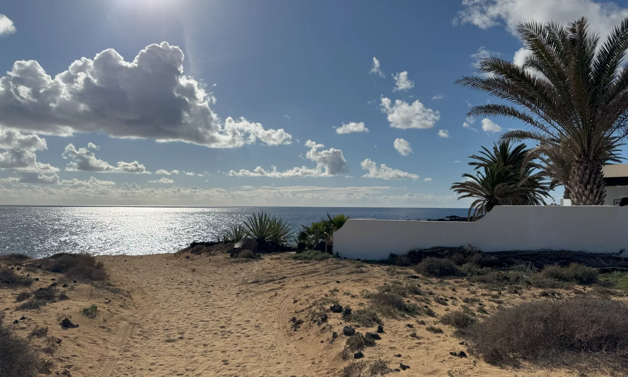Eine stimmungsvolle Küstenlandschaft, die sich durch Sand, Palmen, Meer und Wolken auszeichnet, ist hier zu sehen.